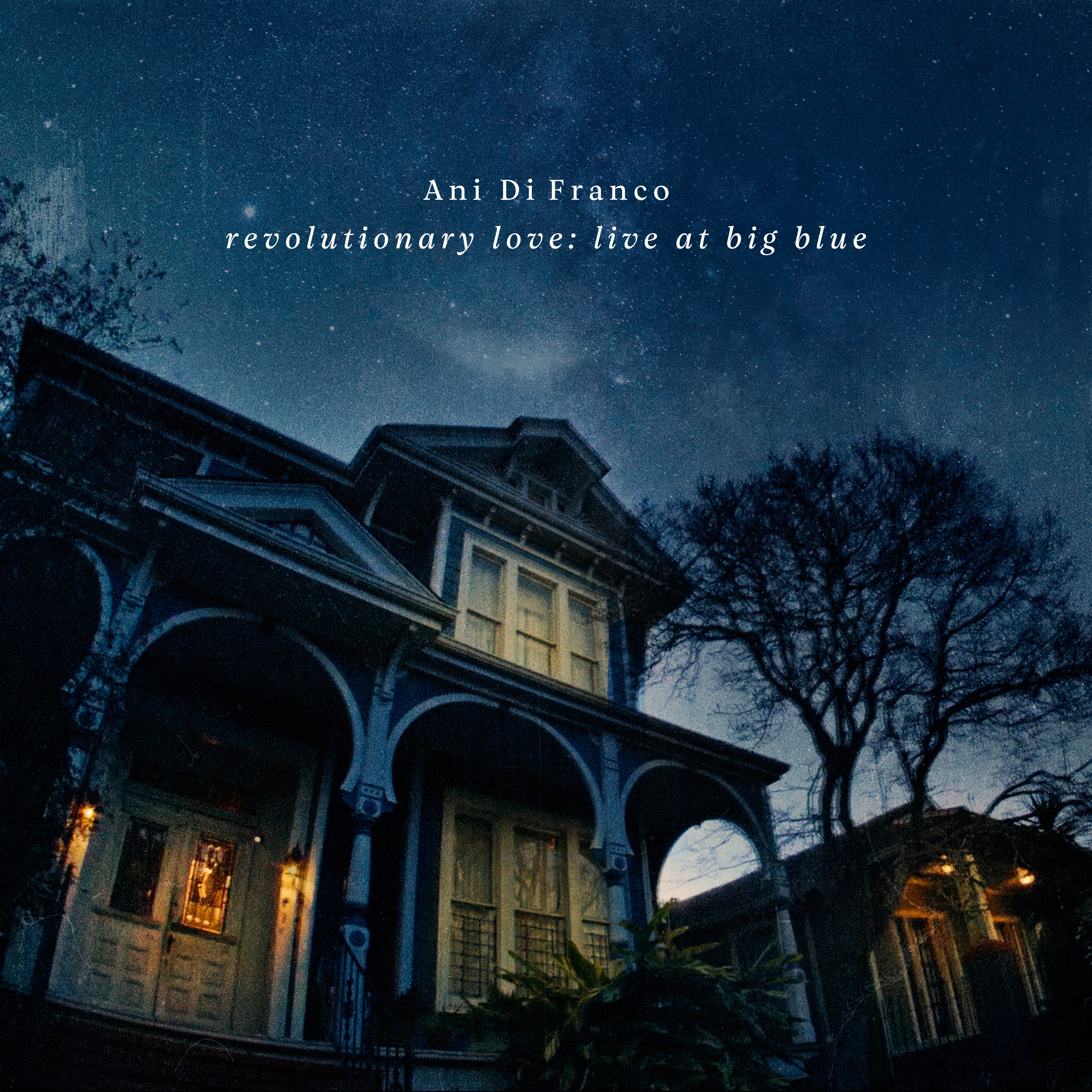 Ani DiFranco - Revolutionary Love: Live at Big Blue - Live Concert